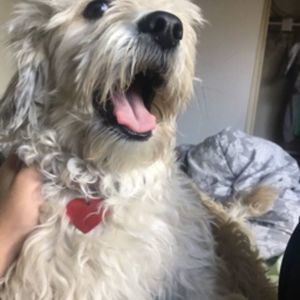 Meet your Posher, Yael